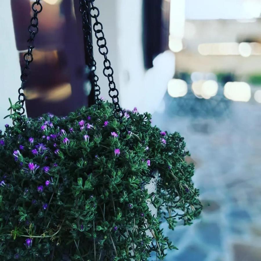 B&B Colle Tarigni Manoppello Εξωτερικό φωτογραφία